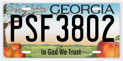 GA license plate PSF3802
