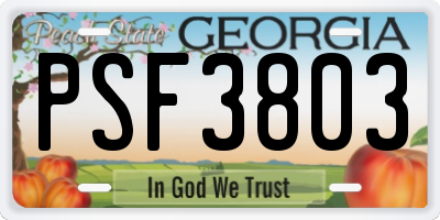 GA license plate PSF3803