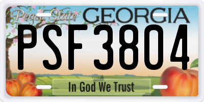GA license plate PSF3804