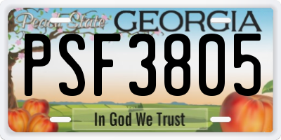 GA license plate PSF3805