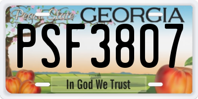 GA license plate PSF3807