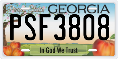 GA license plate PSF3808