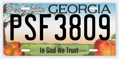 GA license plate PSF3809