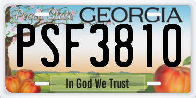GA license plate PSF3810