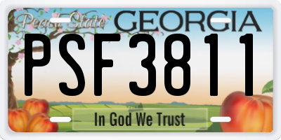 GA license plate PSF3811