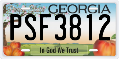 GA license plate PSF3812