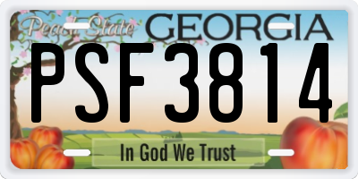 GA license plate PSF3814