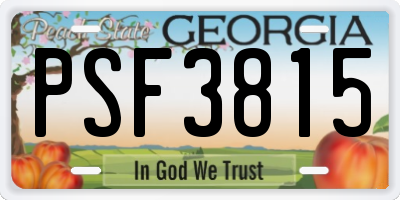 GA license plate PSF3815