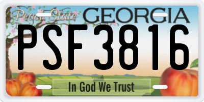GA license plate PSF3816