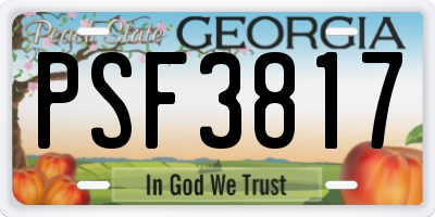 GA license plate PSF3817