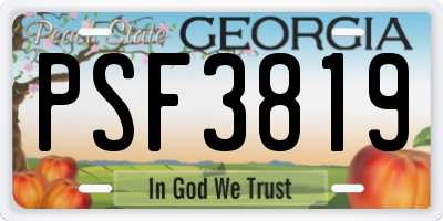 GA license plate PSF3819