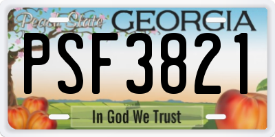 GA license plate PSF3821