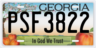 GA license plate PSF3822