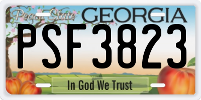 GA license plate PSF3823