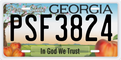 GA license plate PSF3824