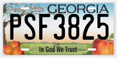 GA license plate PSF3825