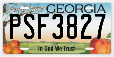 GA license plate PSF3827