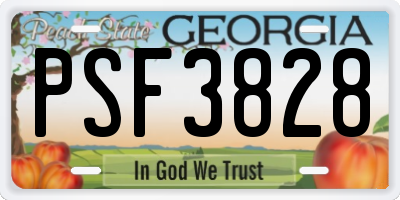 GA license plate PSF3828