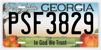 GA license plate PSF3829