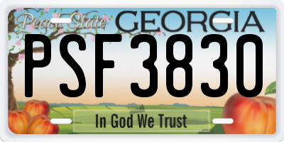 GA license plate PSF3830