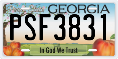 GA license plate PSF3831