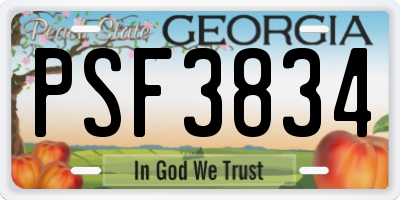 GA license plate PSF3834