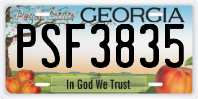 GA license plate PSF3835