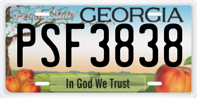 GA license plate PSF3838
