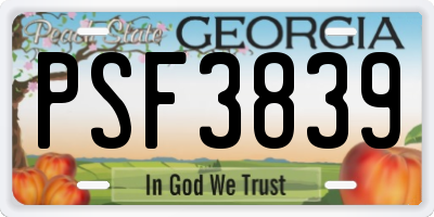 GA license plate PSF3839