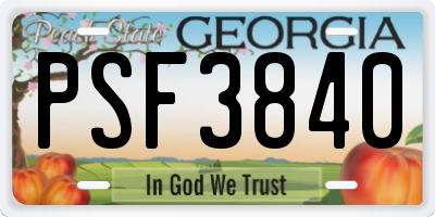 GA license plate PSF3840