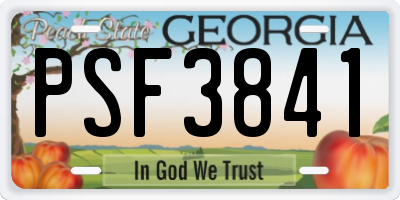GA license plate PSF3841