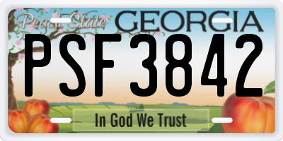 GA license plate PSF3842
