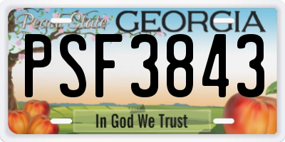 GA license plate PSF3843