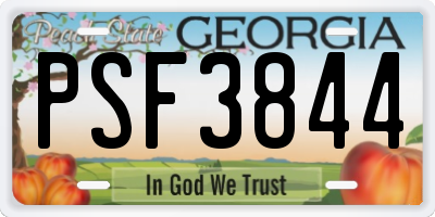 GA license plate PSF3844