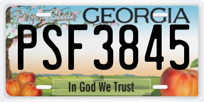 GA license plate PSF3845