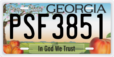 GA license plate PSF3851