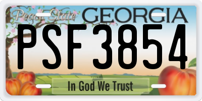 GA license plate PSF3854