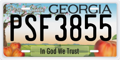 GA license plate PSF3855