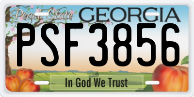 GA license plate PSF3856