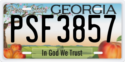 GA license plate PSF3857