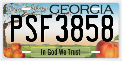 GA license plate PSF3858