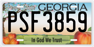 GA license plate PSF3859