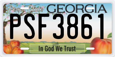 GA license plate PSF3861