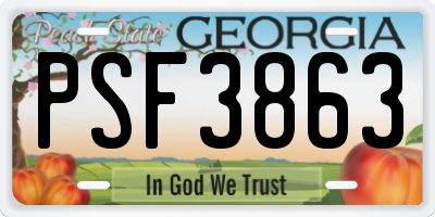 GA license plate PSF3863