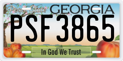 GA license plate PSF3865