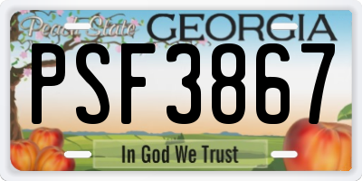 GA license plate PSF3867