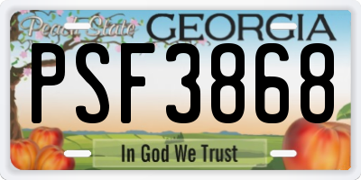 GA license plate PSF3868