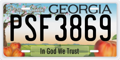 GA license plate PSF3869