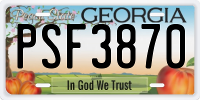 GA license plate PSF3870
