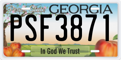 GA license plate PSF3871